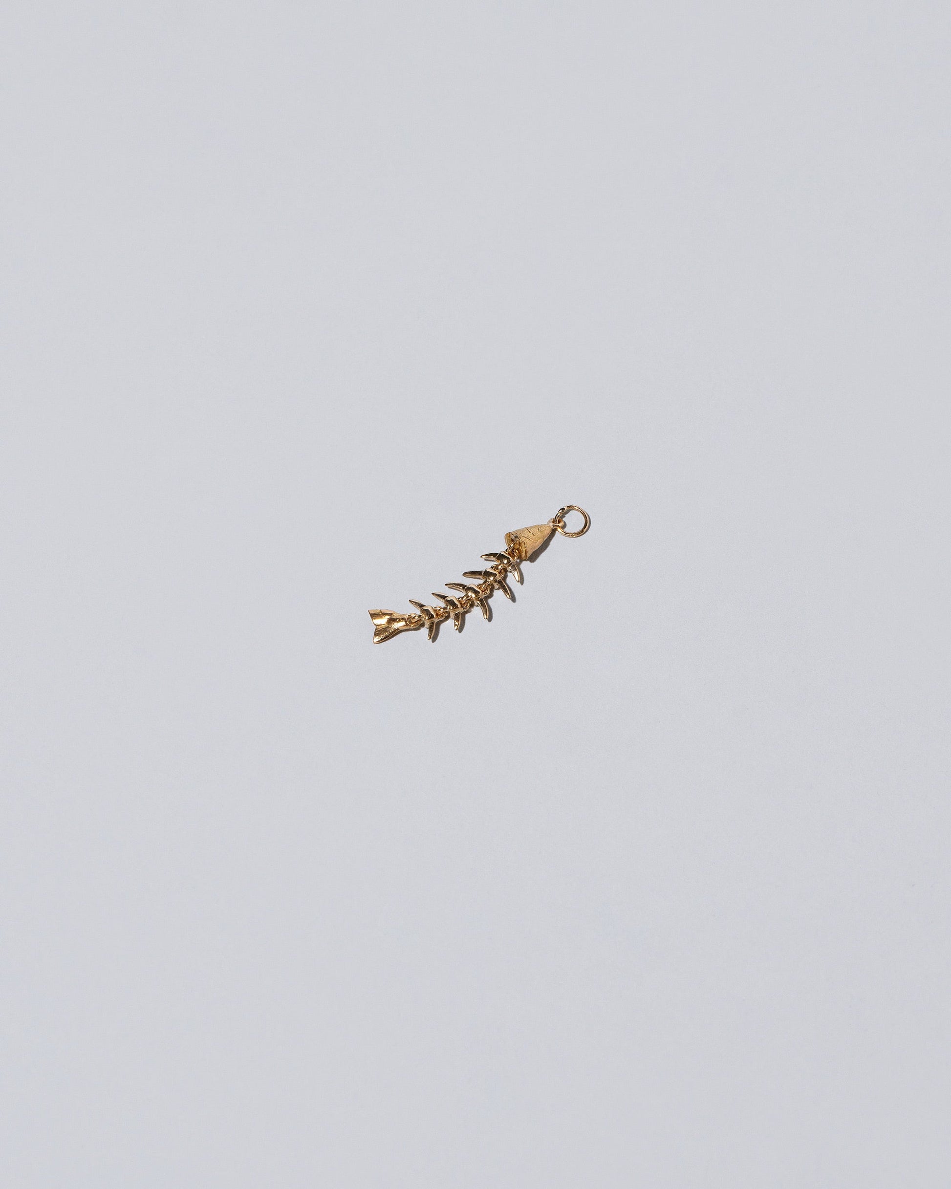 Closeup details of the Skeletal Fish Charm on light color background.