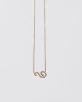 White Diamond Symbol of Change Necklace on light color background.
