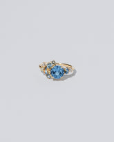 Vega Ring on light colored background.