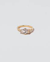  Serpentes Ring on light color background.