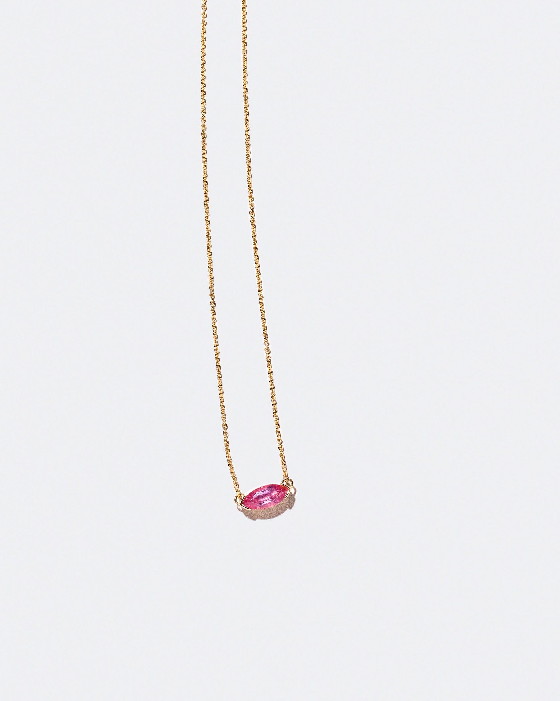 Product photo of Nudibranch Necklace on a light color background 