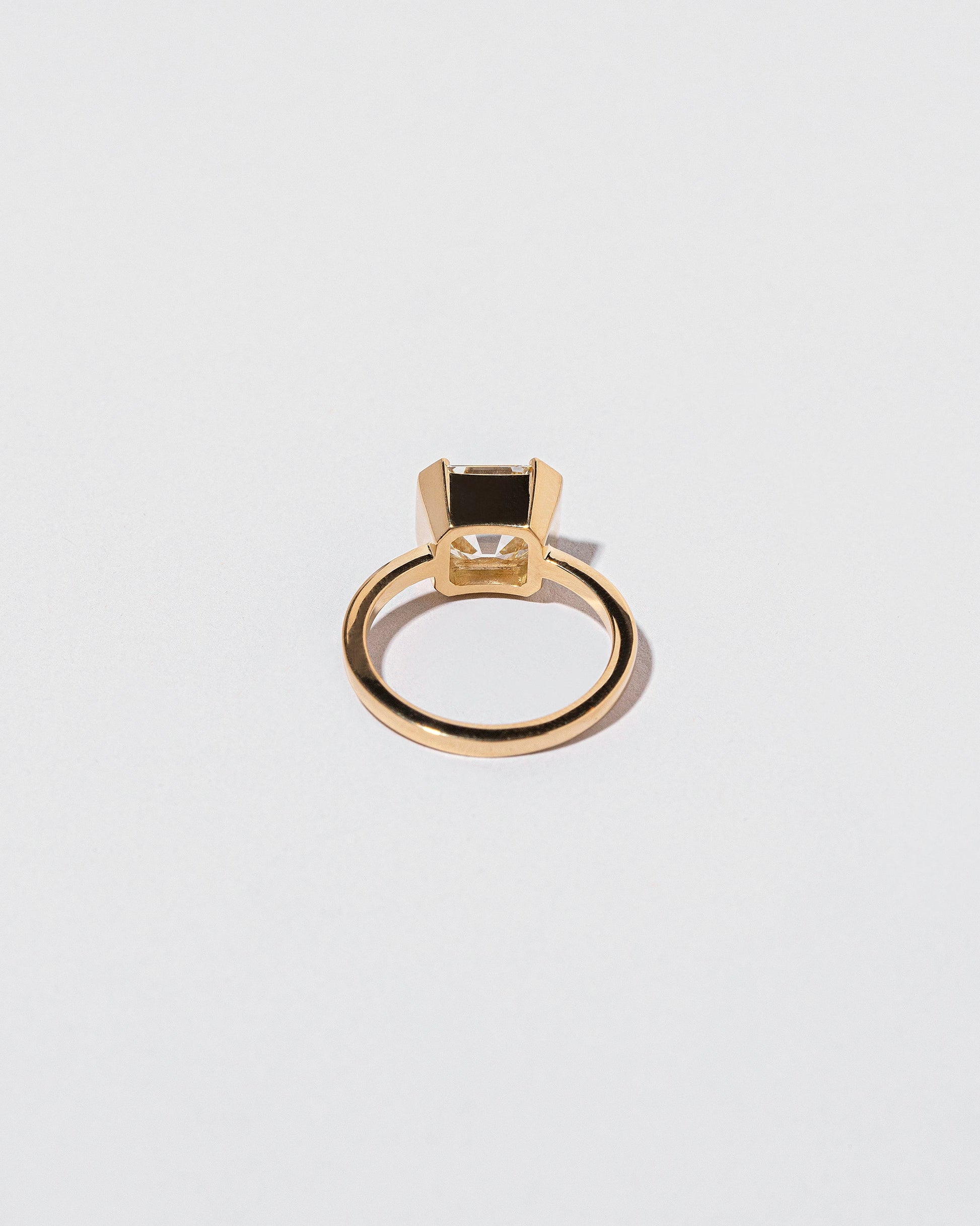 View from the back of the Future Past Ring on light color background.
