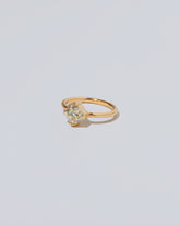 View from the side of the Tendu Ring on light color background.