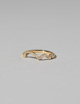  Squiggle Band - Pavé on light color background.