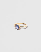 View from the side of the Austras Ring on light color background.