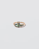  Cycle Ring on light color background.
