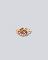 Vega Ring on light colored background.